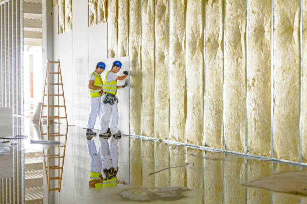 Best Blown-in Insulation  in Decatur, TN